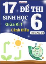 Tuyển tập 17 Đề thi giữa Kì 1 môn Sinh Học 6 sách Cánh Diều (Kèm đáp án)